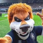 Remo anuncia novo treinador. Confira quem é! • DOL