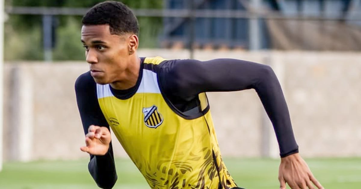 Botafogo propõe R$ 8 mi por Dantas; Novorizontino não aceita